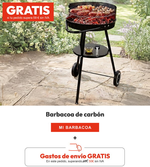 Barbacoa carbón