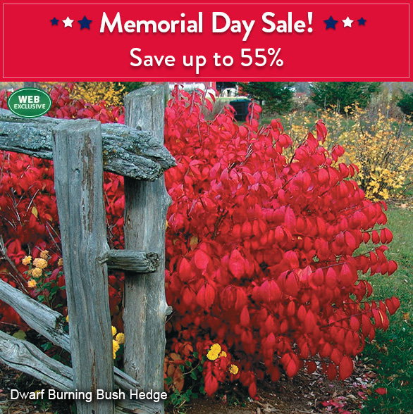 Save up to 55% on select items 