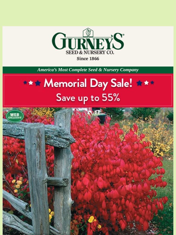 If you shop one sale today, let it be this one.