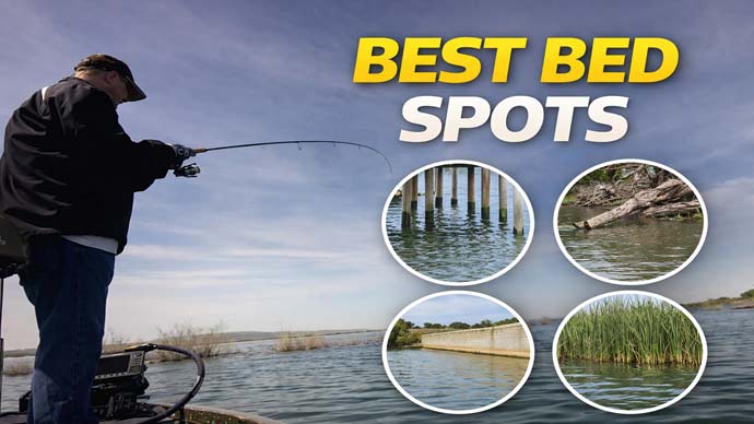 Bass Fishing Video