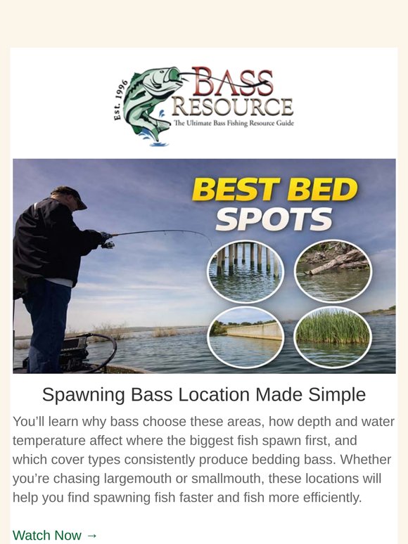 Spawn & Postspawn Lunkers | Rod Guide | Top Baits