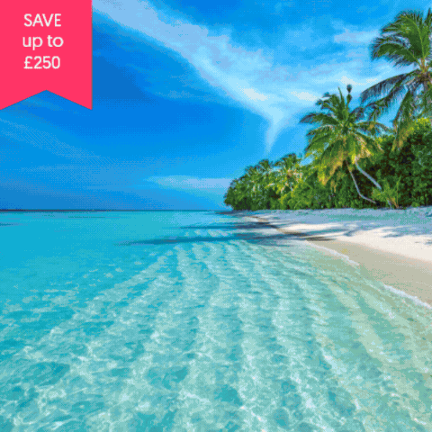 Save up to £250