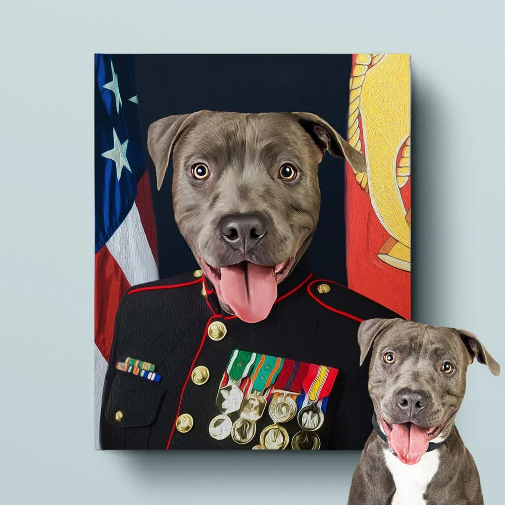 Image of Marine