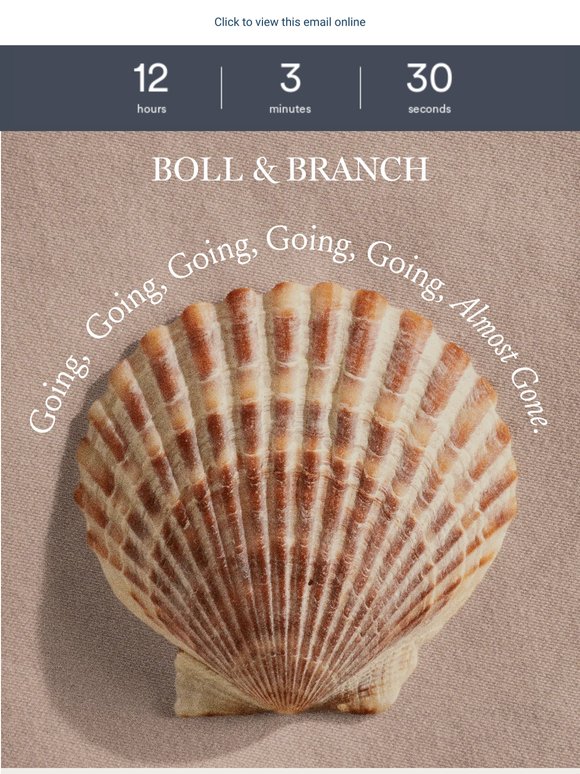 Going…going…20% off + free gift
