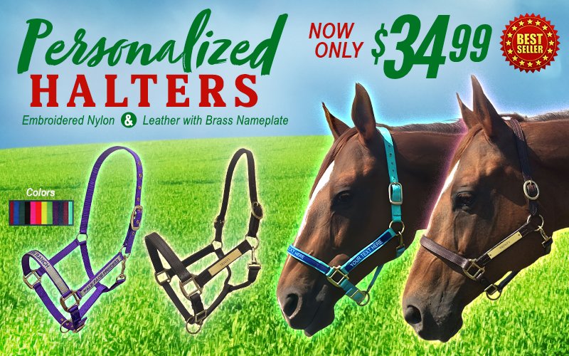 Personalized Halters $34.99