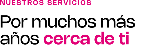 Preparar carrito
