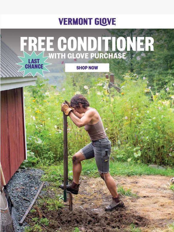 [LAST CHANCE] Free Conditioner!