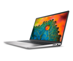 Dell 15