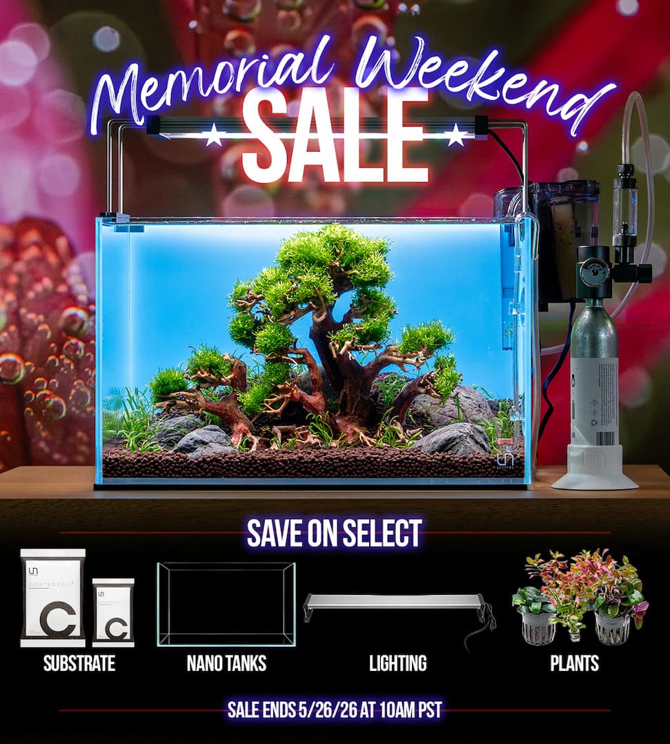 Memorial Day Weekend Sale