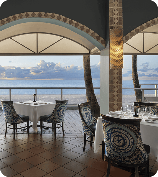 Epicurean journey at 11 restaurants