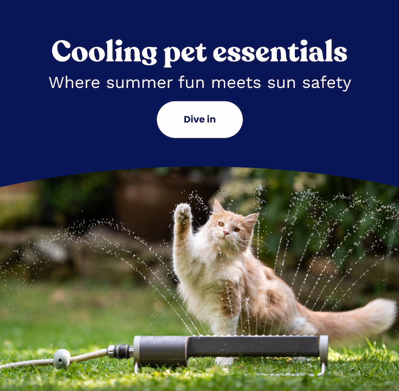 Cooling pet essentials. Where summer fun meets sun safety.