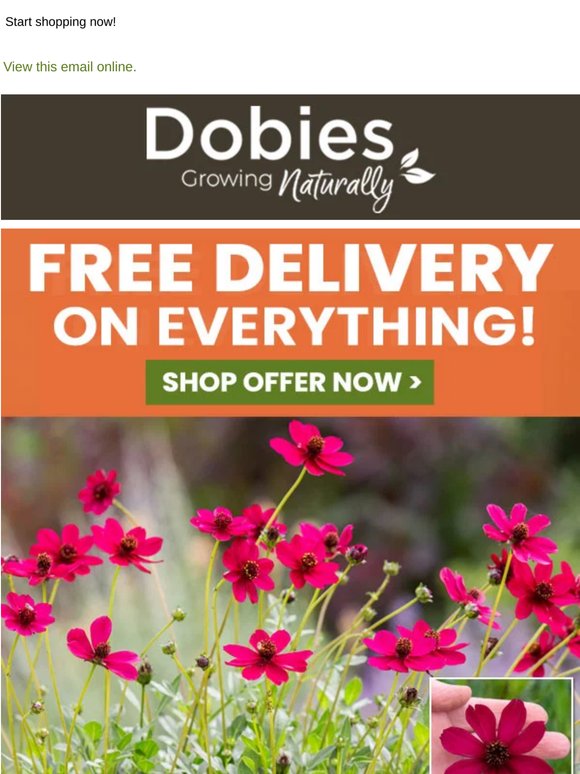 FREE DELIVERY on EVERYTHING - EXTRA 24 HOURS!