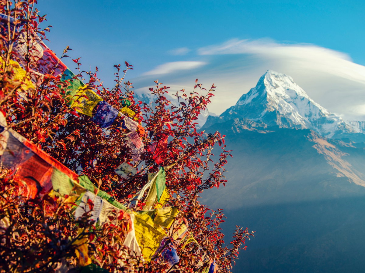 Colours of Nepal Tour