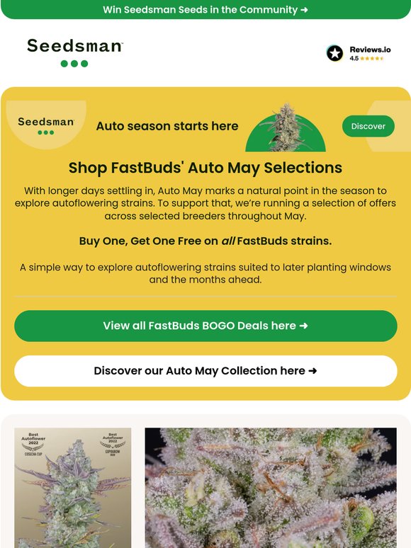 FastBuds, Auto May lineup