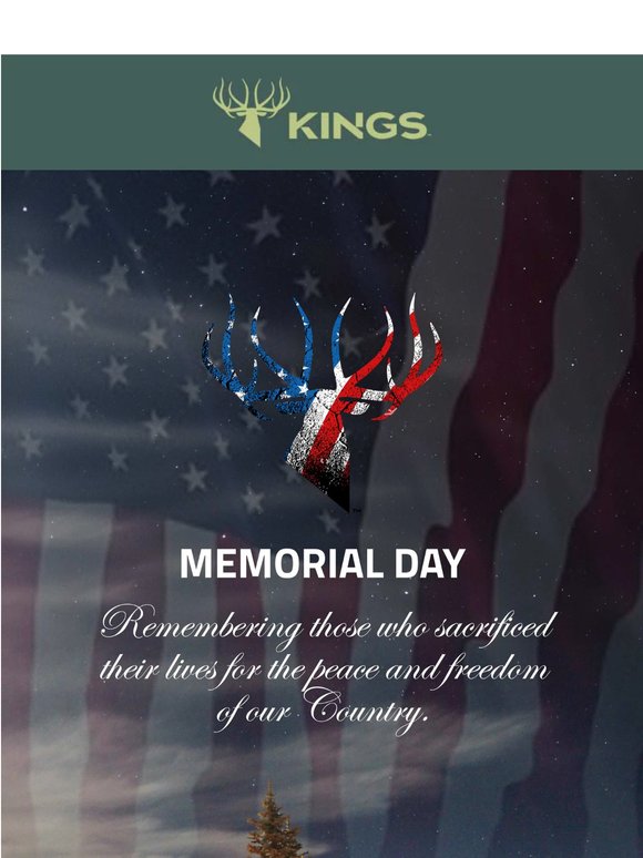 Remember & Honor On Memorial Day