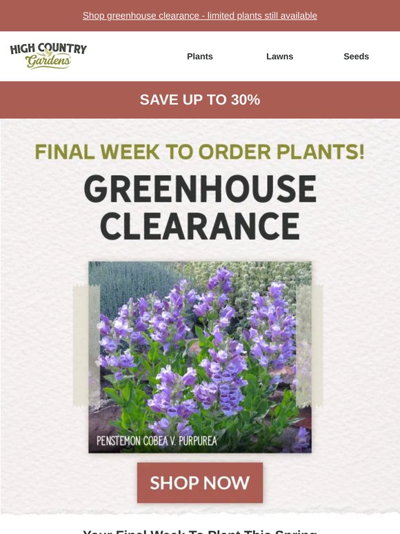 Final Week For Spring Delivery - Plants Up To 30% Off
