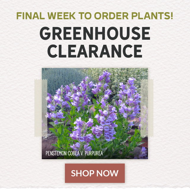 greenhouse clearance