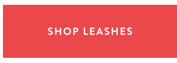 leashes