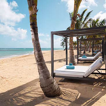 MEMORIAL DAY DEAL. Dominican Republic. Moon palace the grand package. All inclusive resort. two hundred dollar instant savings. three hundred fifty dollar resort credit. digital costco shop card. 5 nights or more. book by may twenty ninth, two thousand and twenty six.