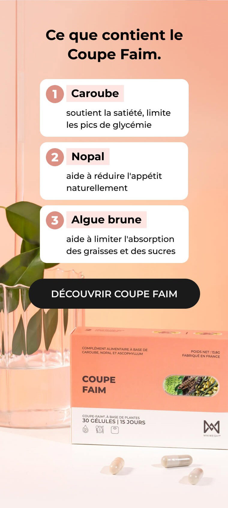 COUPE FAIM 1
