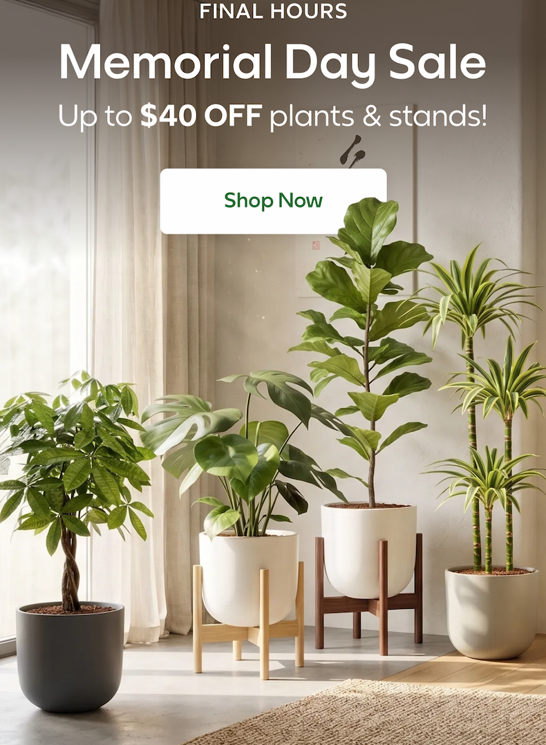 Memorial Day Sale