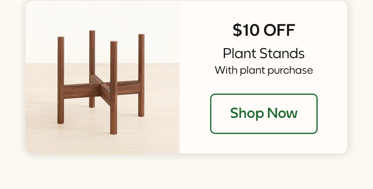 $10 OFF