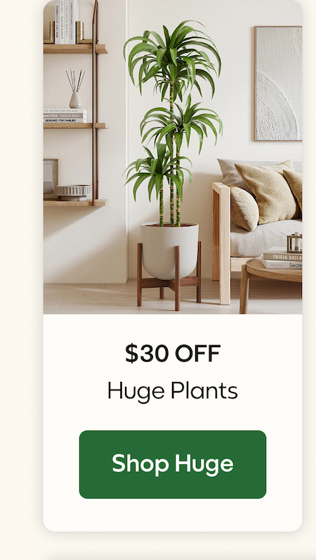 $30 OFF