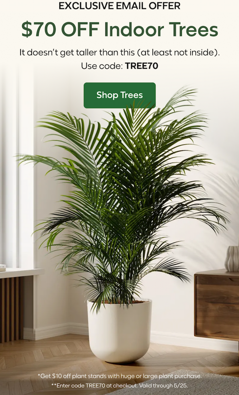 $70 OFF Indoor Trees