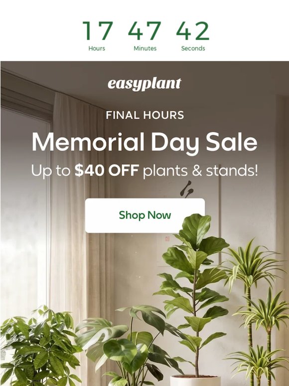 Up to $40 Off BIG Plants Ends Tonight ⏳🌿