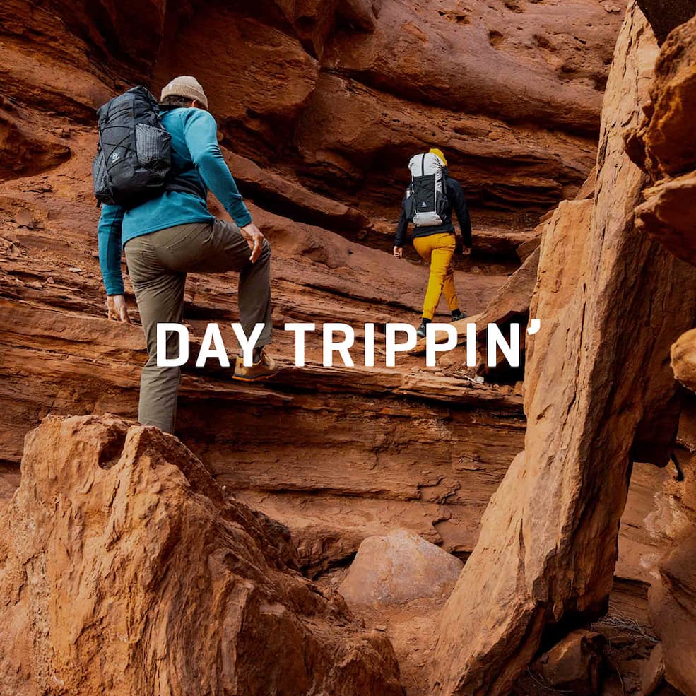 DAY TRIPPIN'
