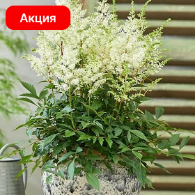 Карточка (8).png