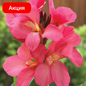 Карточка (15).png