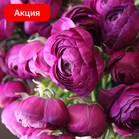 Карточка (13).png