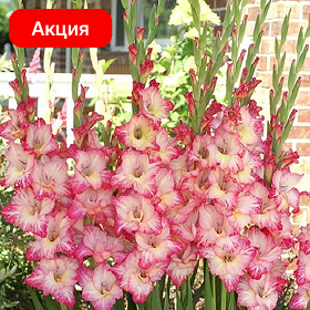 Карточка (2).png