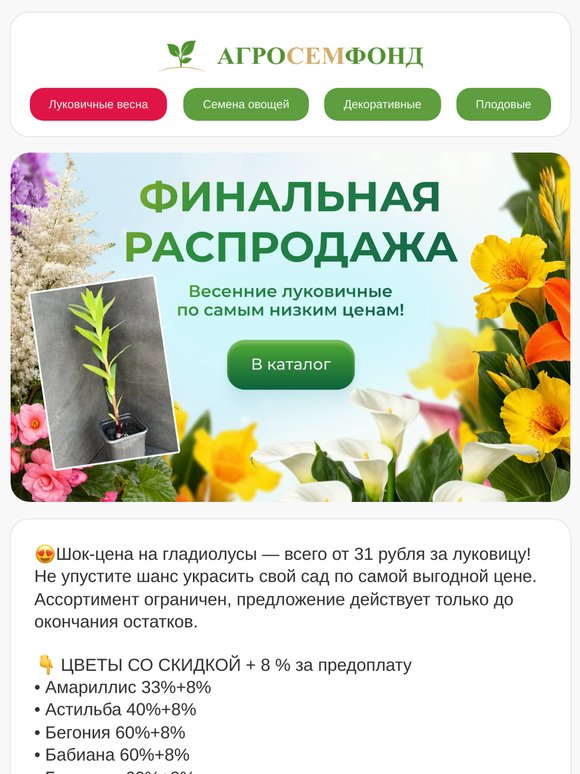 💥 🔥 - 68%! ФИНАЛЬНАЯ МАКСИМАЛЬНАЯ РАСПРОДАЖА весенних луковичных! 🤩 🤩 🌷