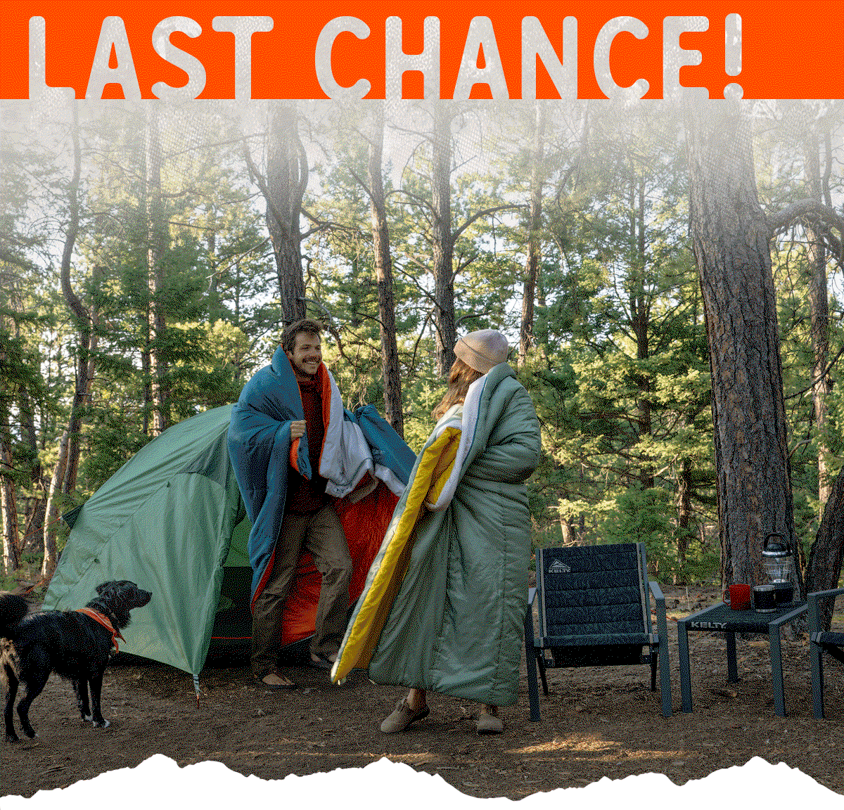 Last Chance for Memorial Day Sale