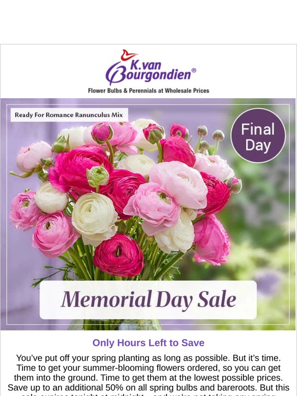 Only Hours Left to Get in on This Sale!