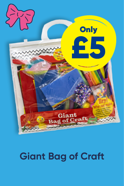 Giant Bag of Craft only £5