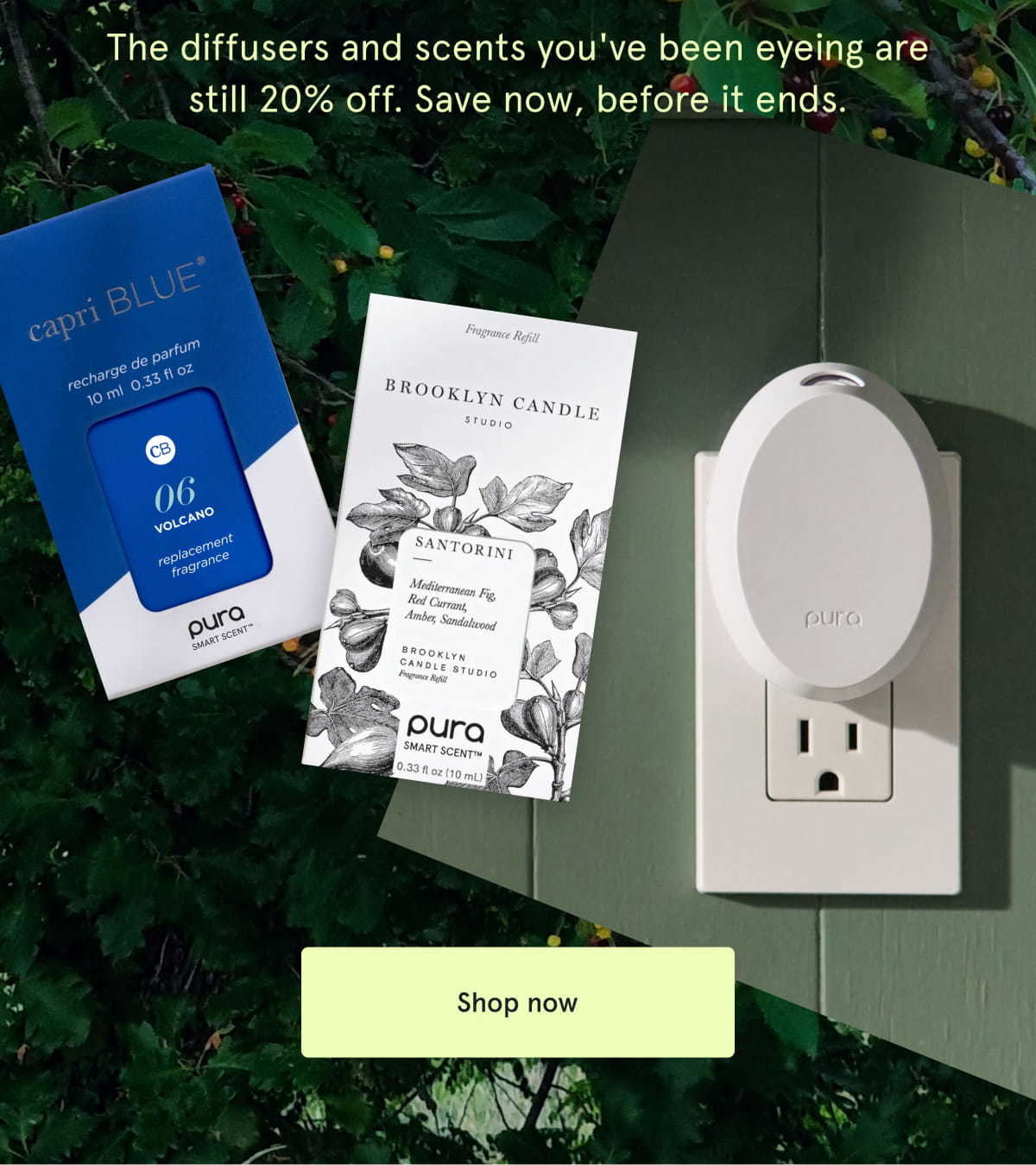 The diffusers and scents you've been eyeing are still 20% off. Save now, before it ends. Shop Now