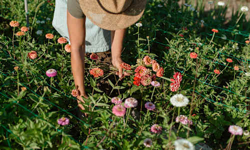 Is This The Reason Why Spending Time Outdoors Improves Your Well-Being?