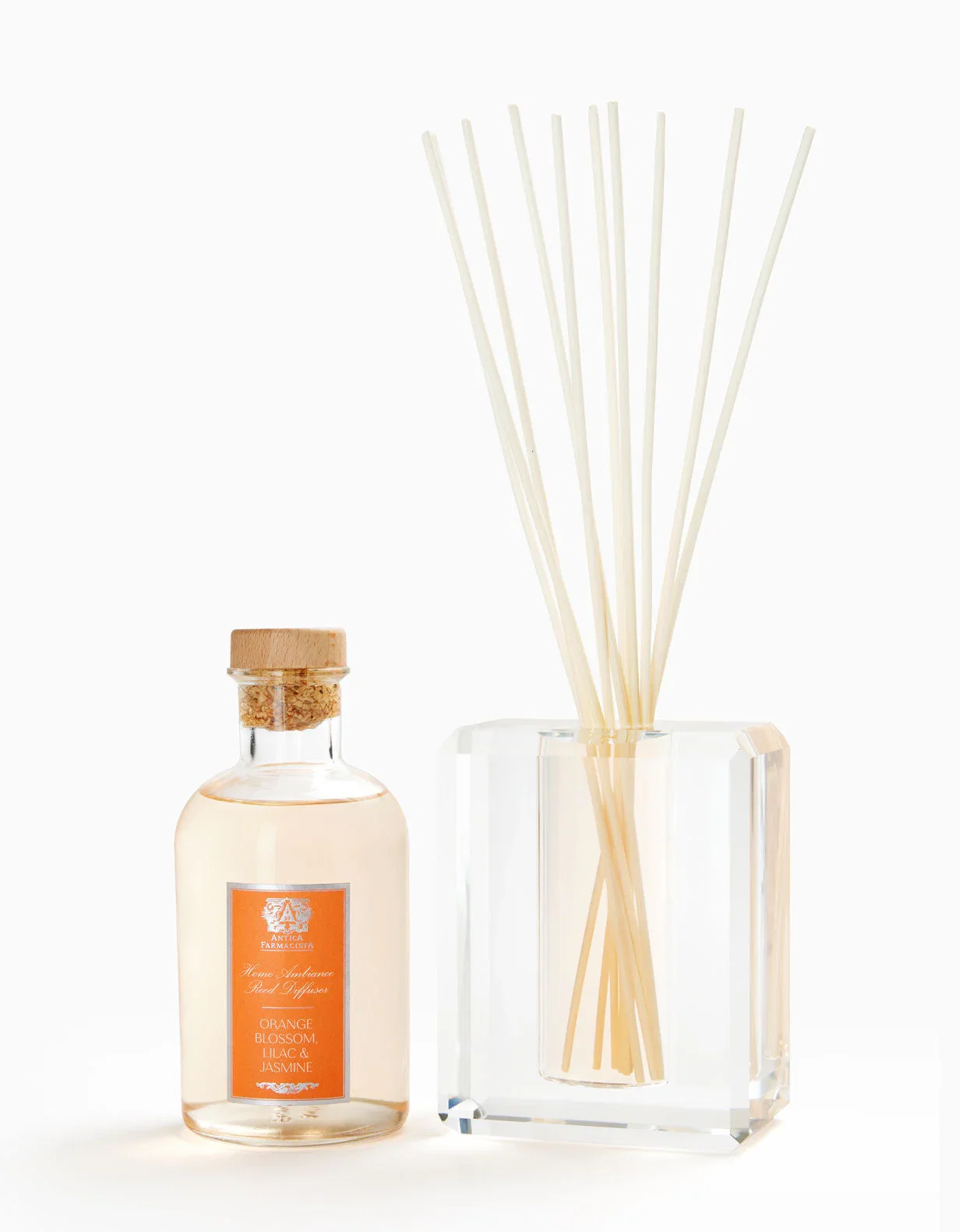 Image of ORANGE BLOSSOM
