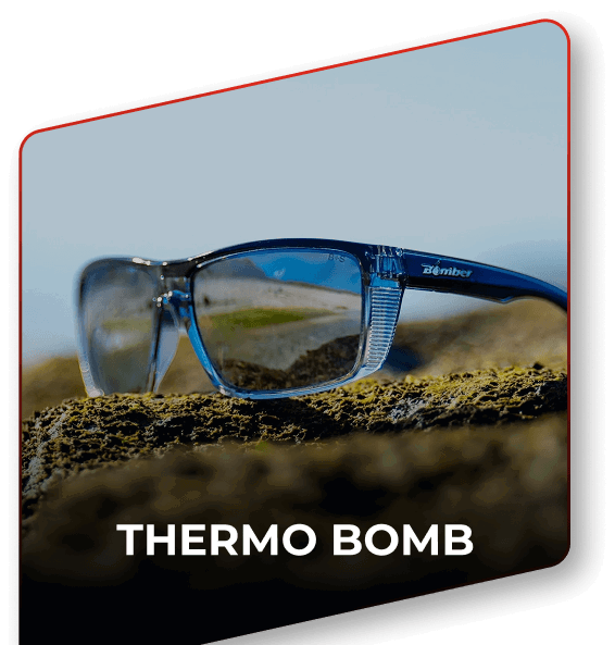 THERMO Bomb