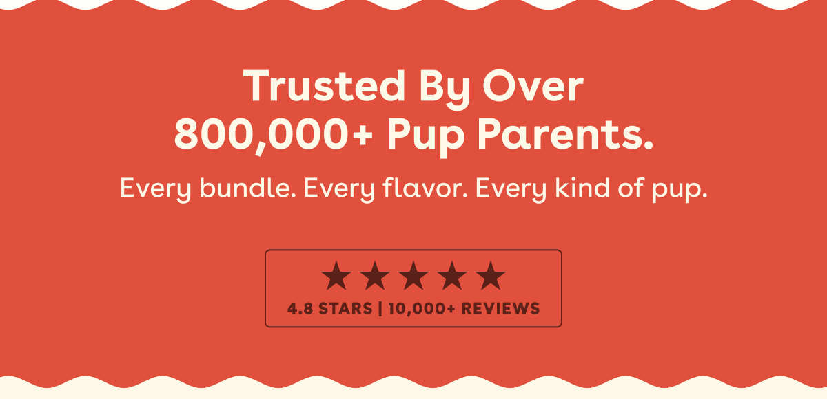 Reviews 