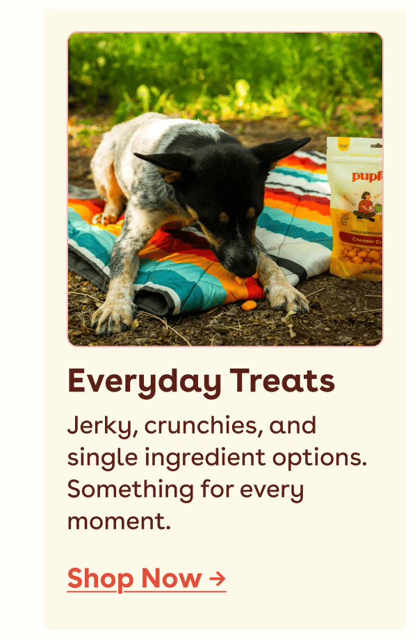 Everyday training treats 