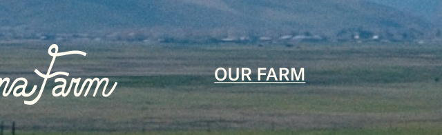 Ballerina Farm | Our Farm