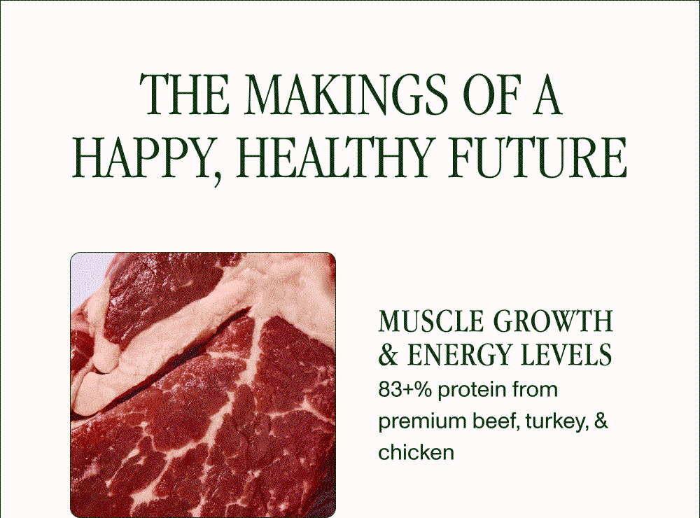 THE MAKINGS OF A HAPPY, HEALTHY FUTURE MUSCLE GROWTH & ENERGY LEVELS 83+% protein from premium beef, turkey, & chicken