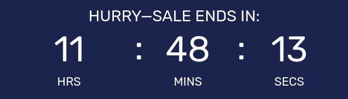 Countdown timer for Big Holiday Flash Sale.