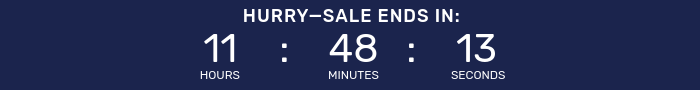 Countdown timer for Big Holiday Flash Sale.