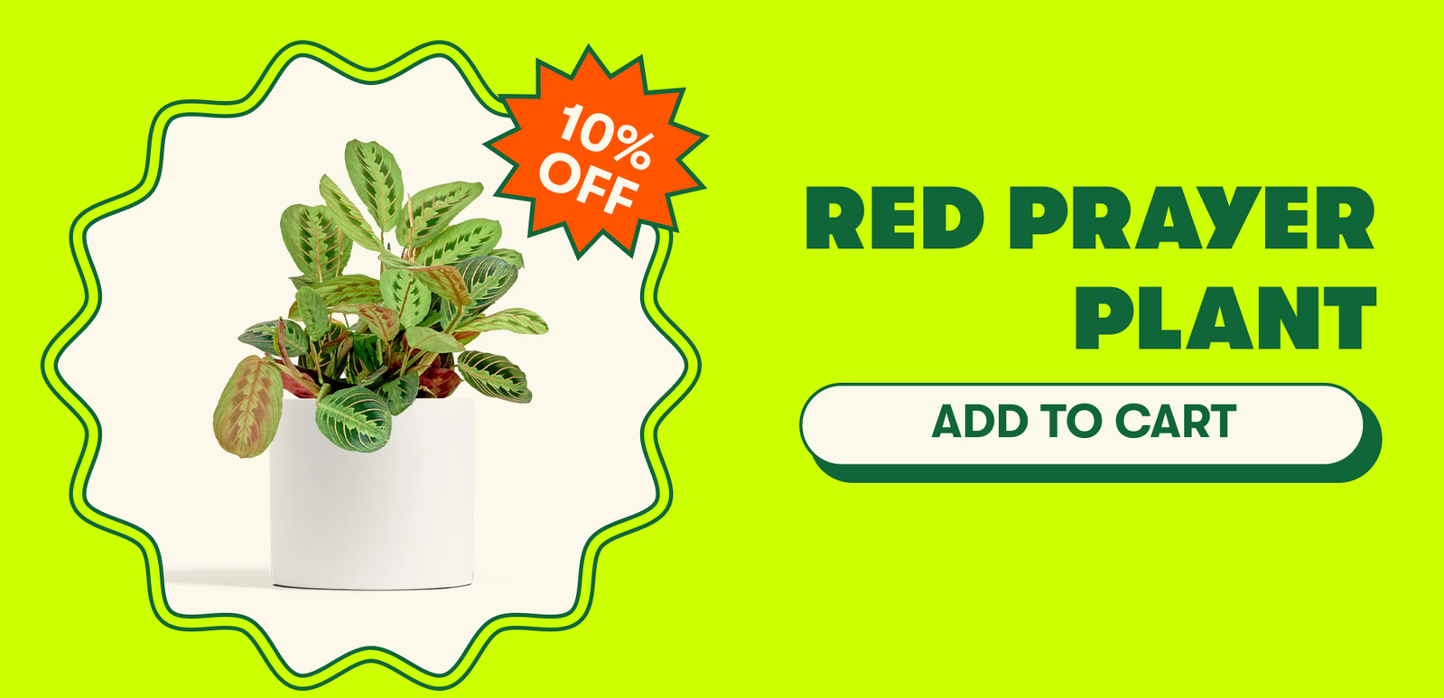 Memorial Day Sale up to 20% off