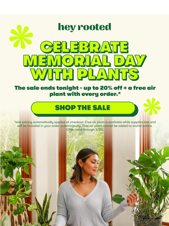 Final Day - Up To 20% Off + Free Plant 🌿⏰
